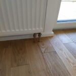 Dub parkety vzor remeň, povrchová úprava Osmo prírodný olej, jemný kartáč a triedenie selekt