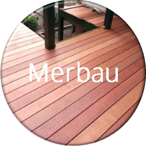 Merbau