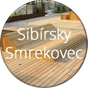 Sibírsky smrekovec